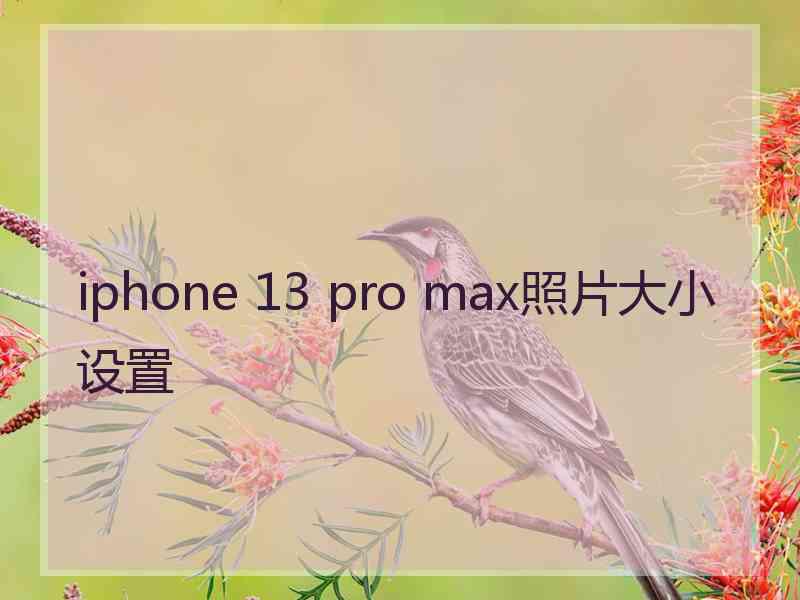 iphone 13 pro max照片大小设置