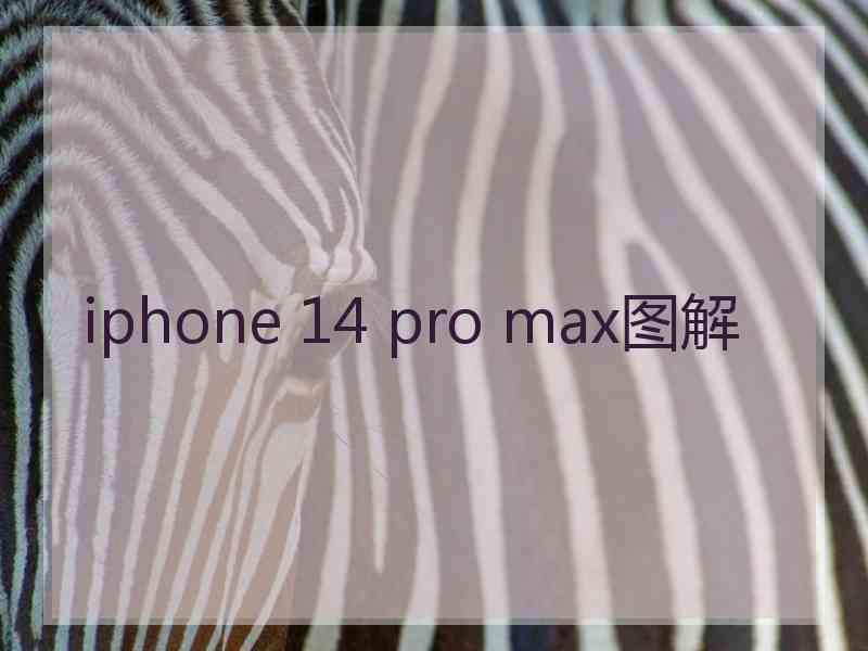 iphone 14 pro max图解