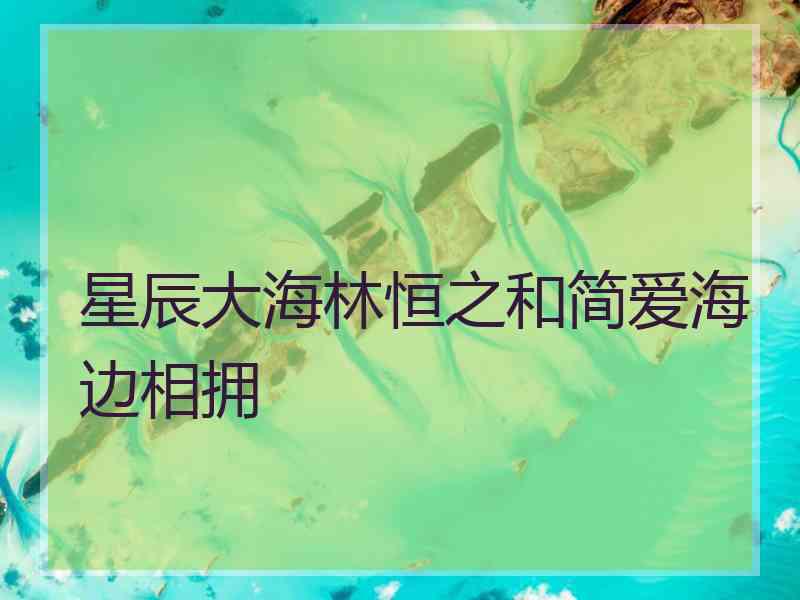 星辰大海林恒之和简爱海边相拥