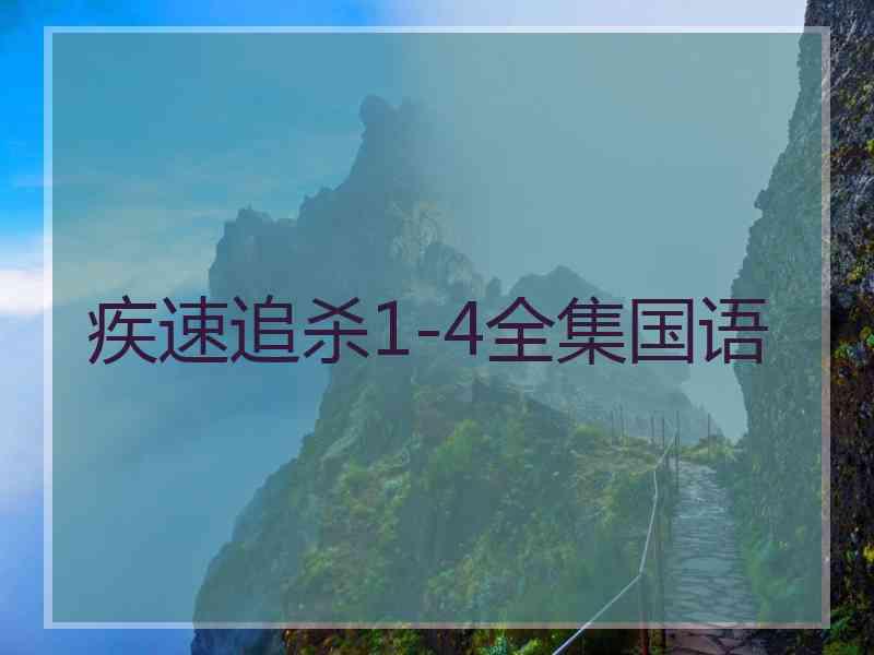 疾速追杀1-4全集国语