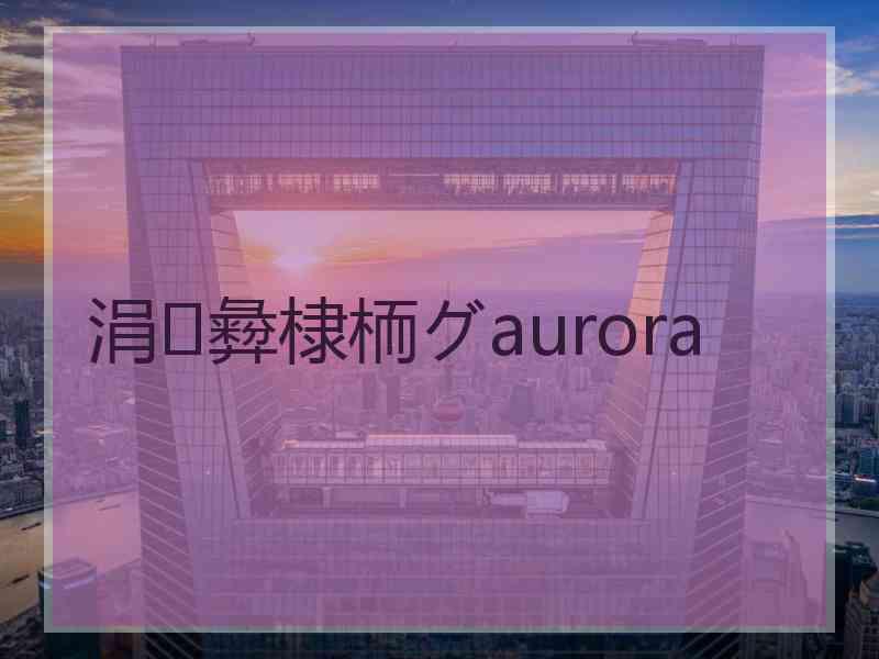 涓彜棣栭グaurora