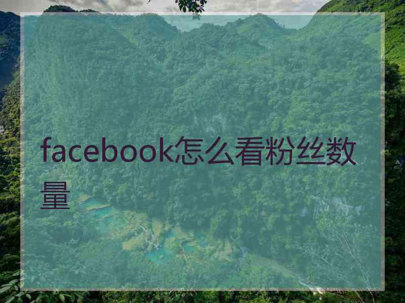 facebook怎么看粉丝数量