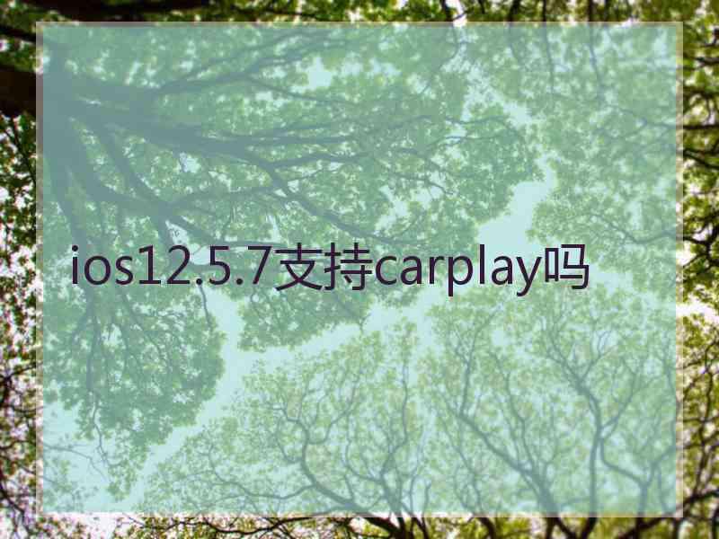 ios12.5.7支持carplay吗