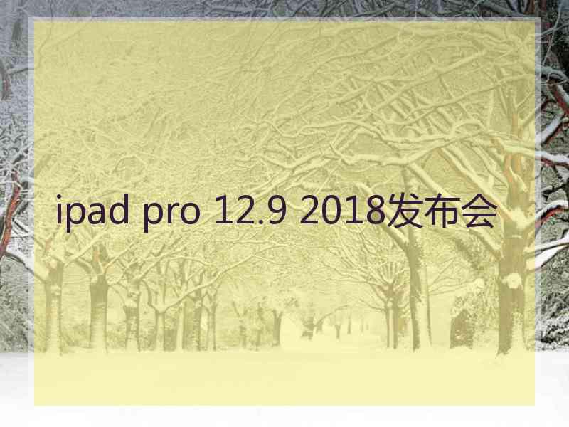 ipad pro 12.9 2018发布会