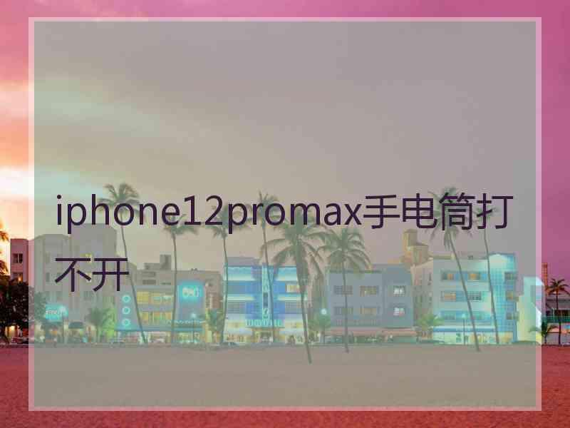 iphone12promax手电筒打不开