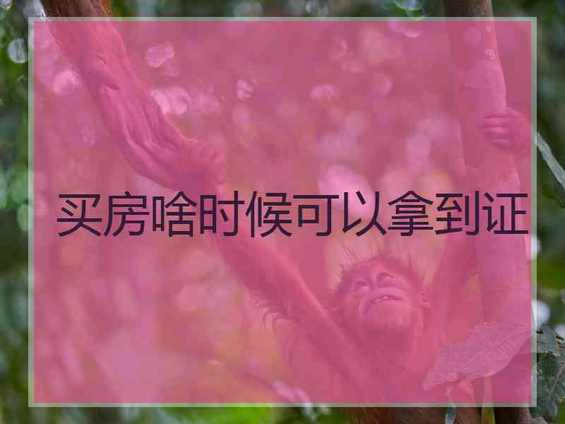 买房啥时候可以拿到证