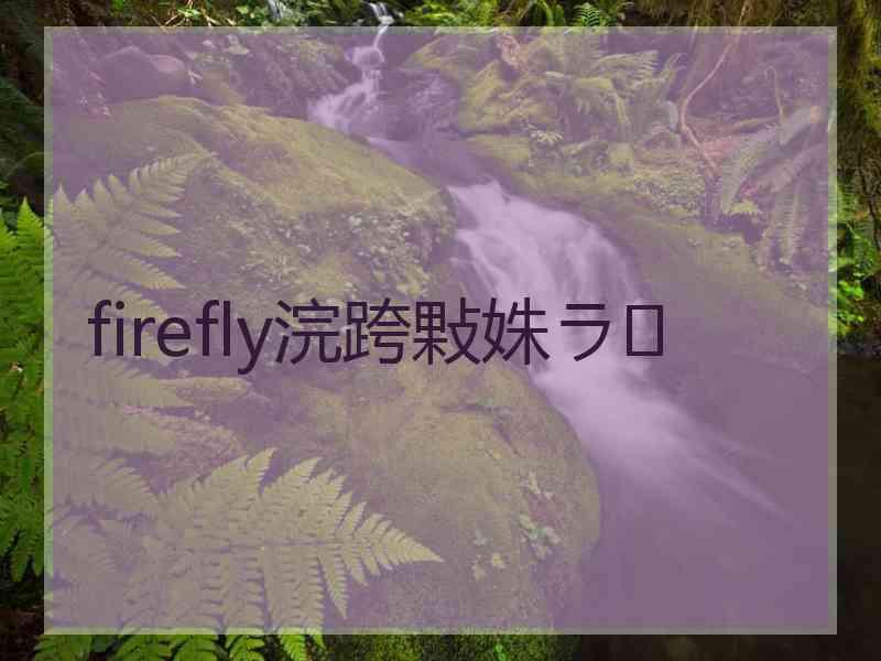 firefly浣跨敤姝ラ