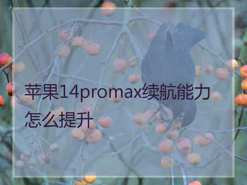 苹果14promax续航能力怎么提升