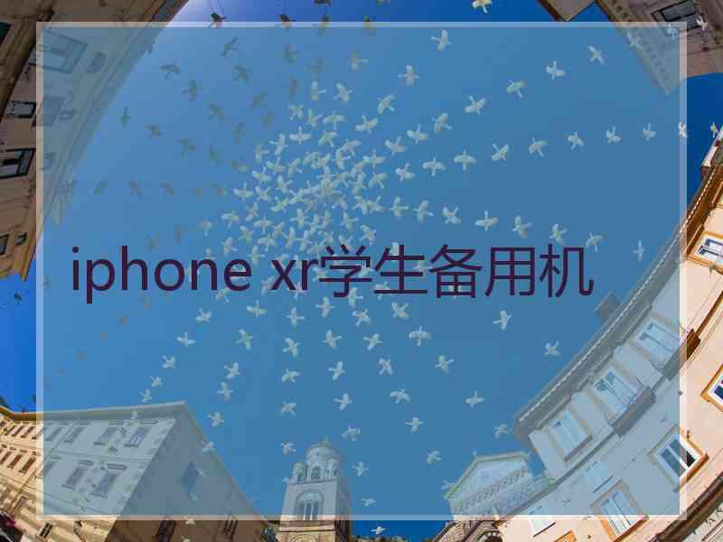 iphone xr学生备用机