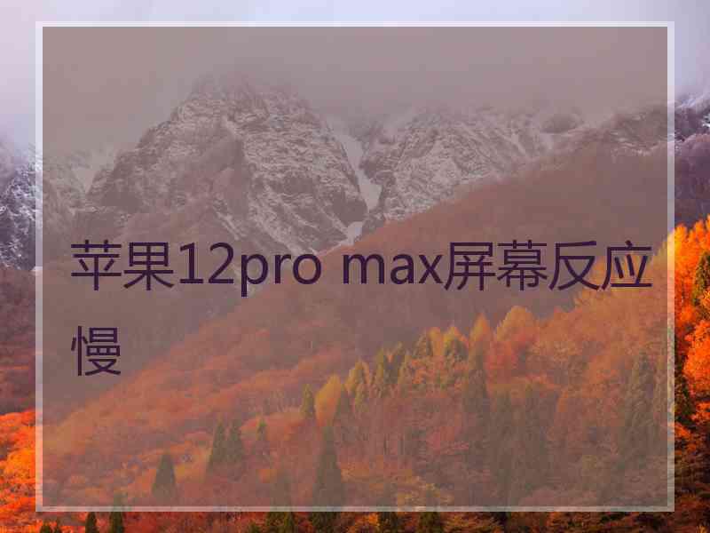 苹果12pro max屏幕反应慢