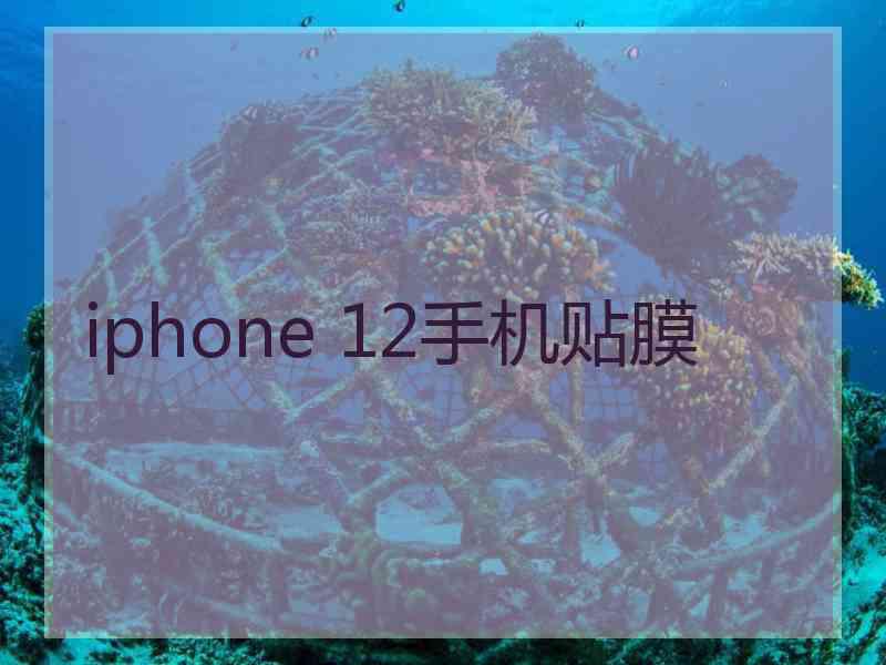 iphone 12手机贴膜