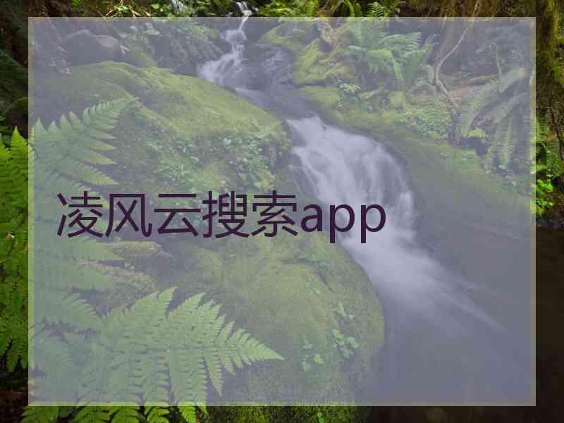 凌风云搜索app