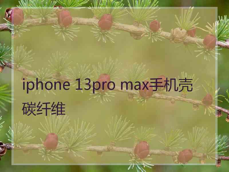 iphone 13pro max手机壳碳纤维