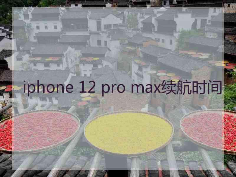 iphone 12 pro max续航时间