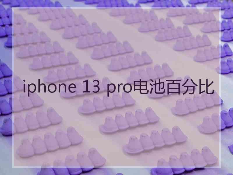 iphone 13 pro电池百分比