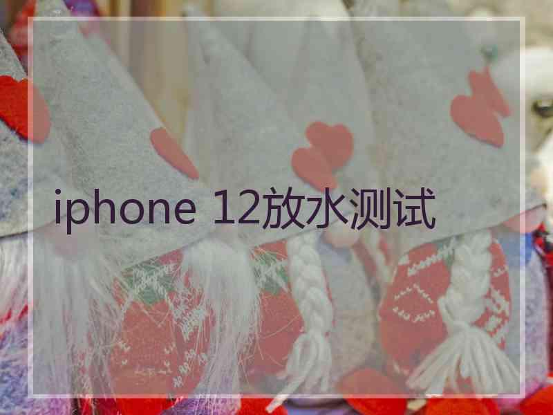 iphone 12放水测试