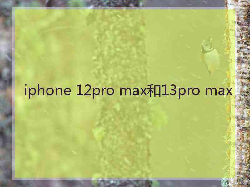 iphone 12pro max和13pro max