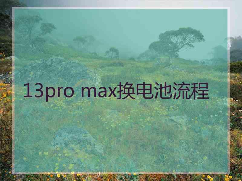 13pro max换电池流程