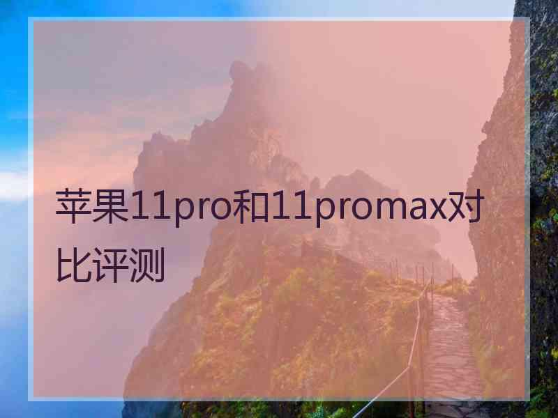 苹果11pro和11promax对比评测