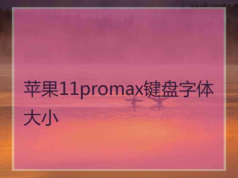 苹果11promax键盘字体大小