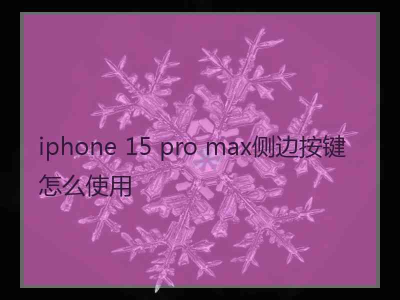 iphone 15 pro max侧边按键怎么使用