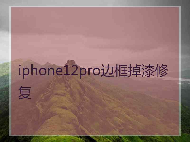 iphone12pro边框掉漆修复