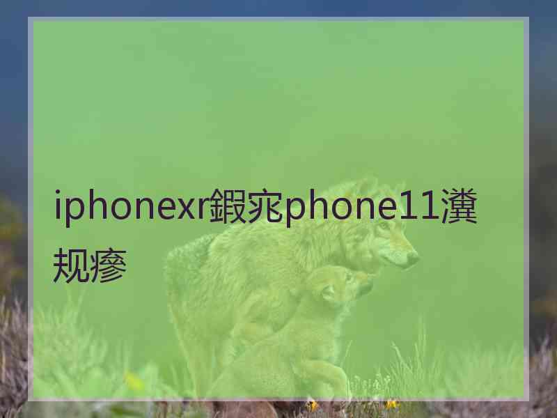 iphonexr鍜宨phone11瀵规瘮