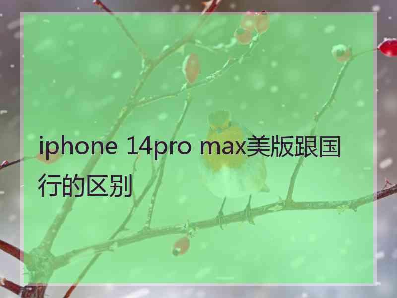 iphone 14pro max美版跟国行的区别