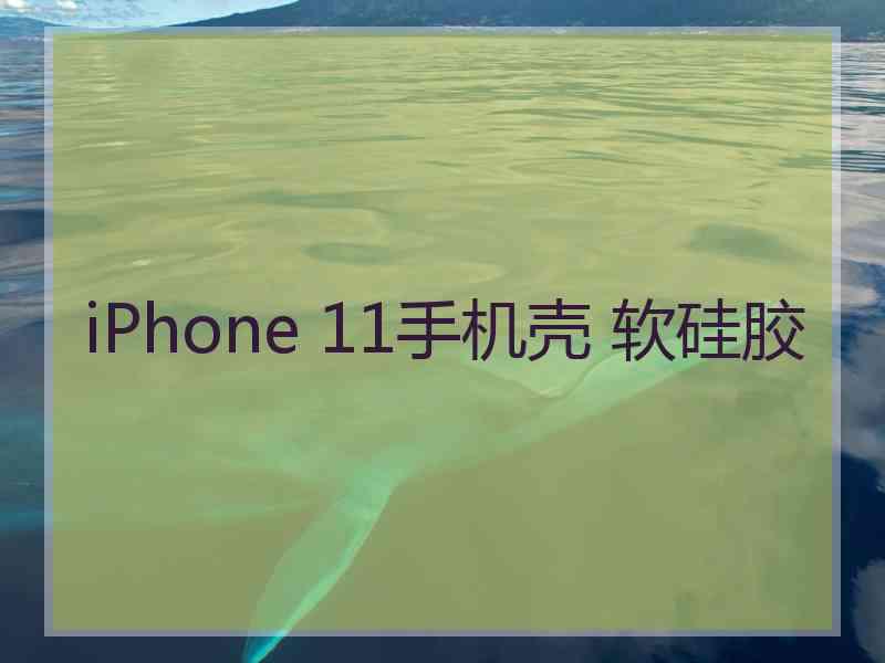 iPhone 11手机壳 软硅胶