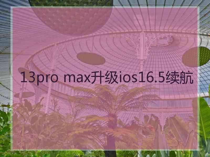 13pro max升级ios16.5续航