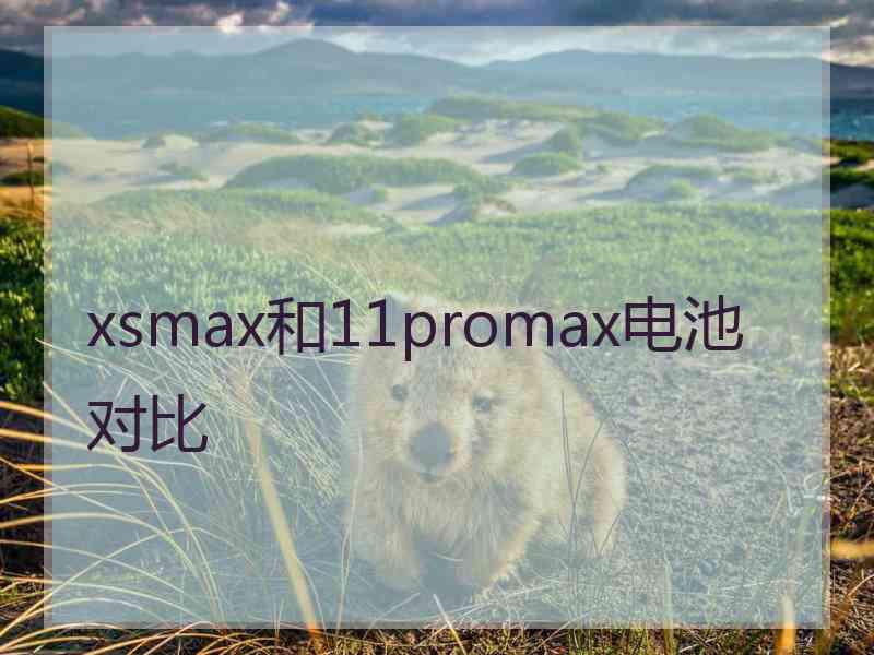 xsmax和11promax电池对比