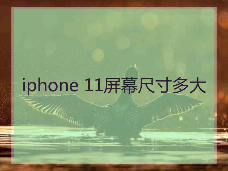 iphone 11屏幕尺寸多大