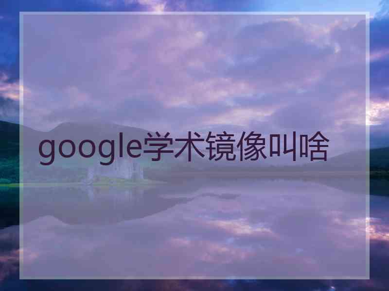 google学术镜像叫啥