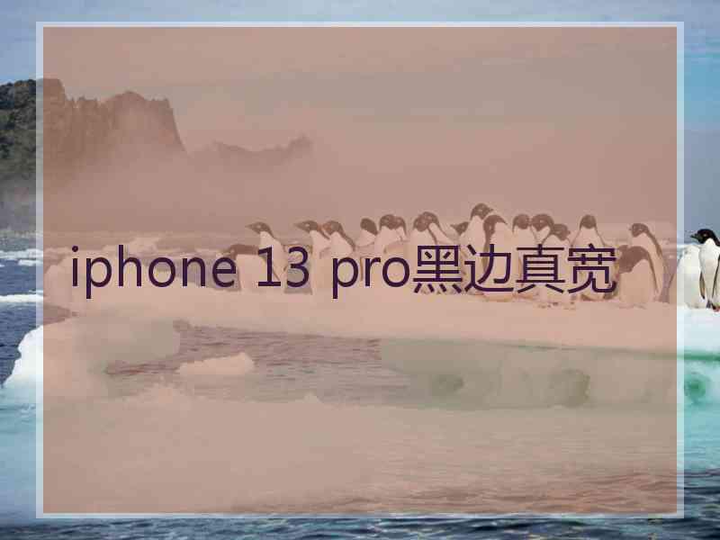 iphone 13 pro黑边真宽