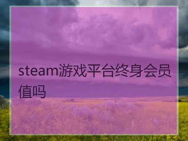 steam游戏平台终身会员值吗