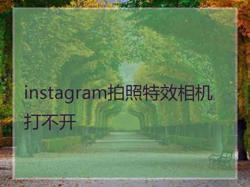 instagram拍照特效相机打不开