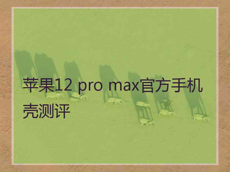 苹果12 pro max官方手机壳测评