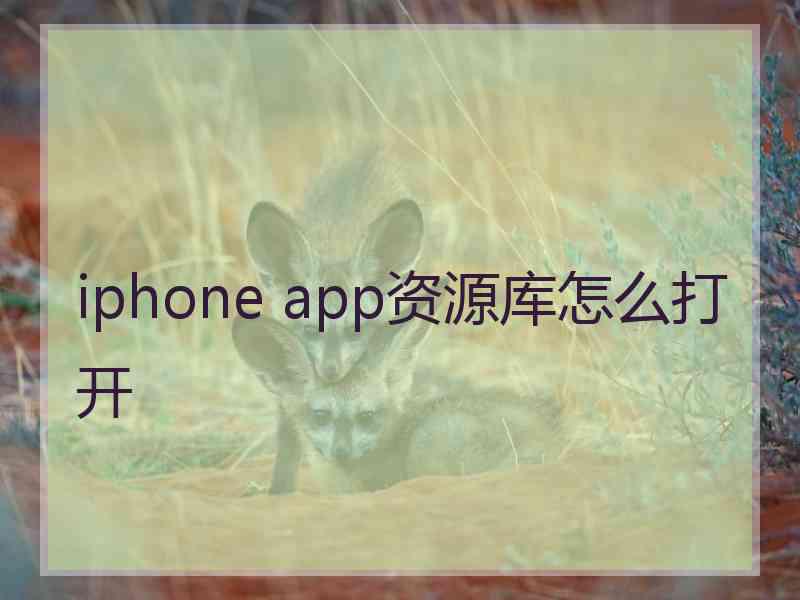 iphone app资源库怎么打开