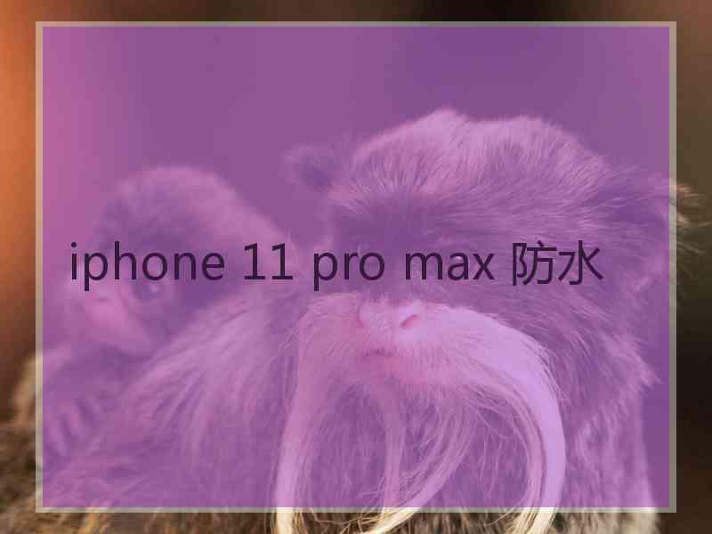 iphone 11 pro max 防水