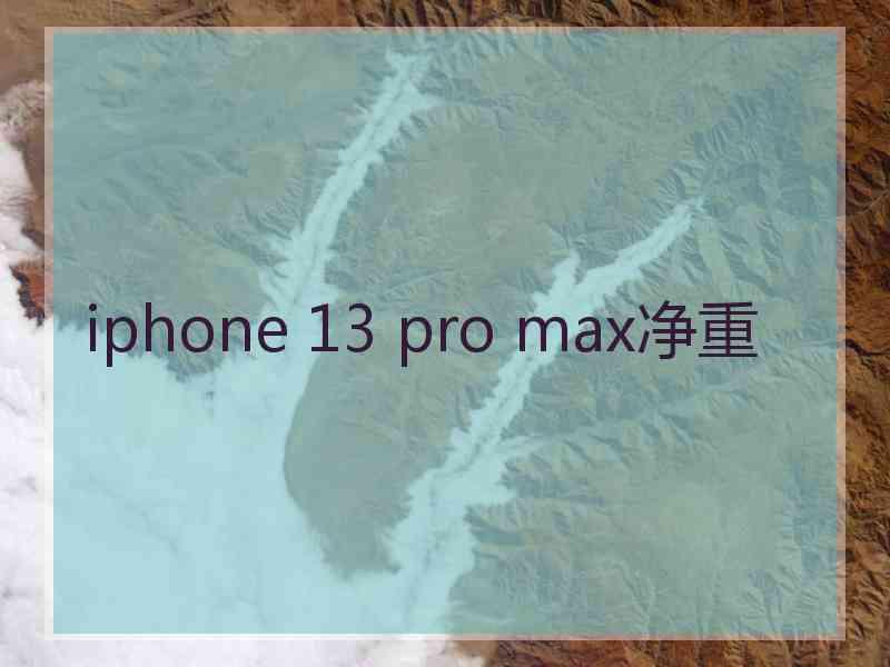 iphone 13 pro max净重