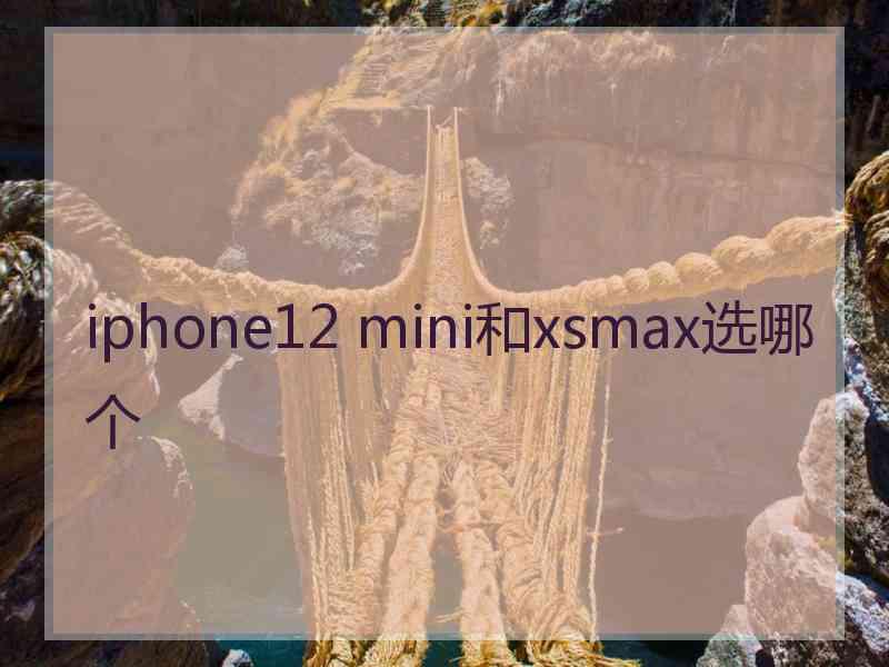 iphone12 mini和xsmax选哪个