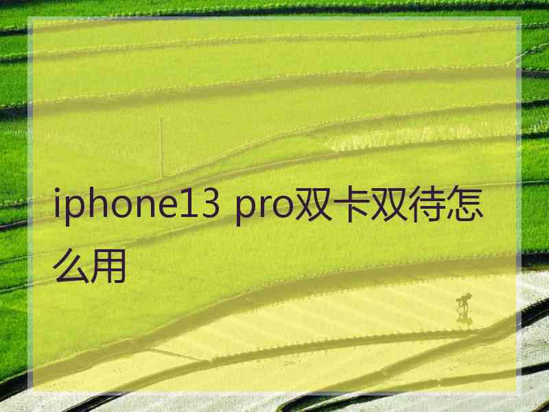 iphone13 pro双卡双待怎么用