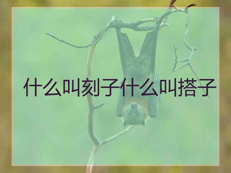 什么叫刻子什么叫搭子