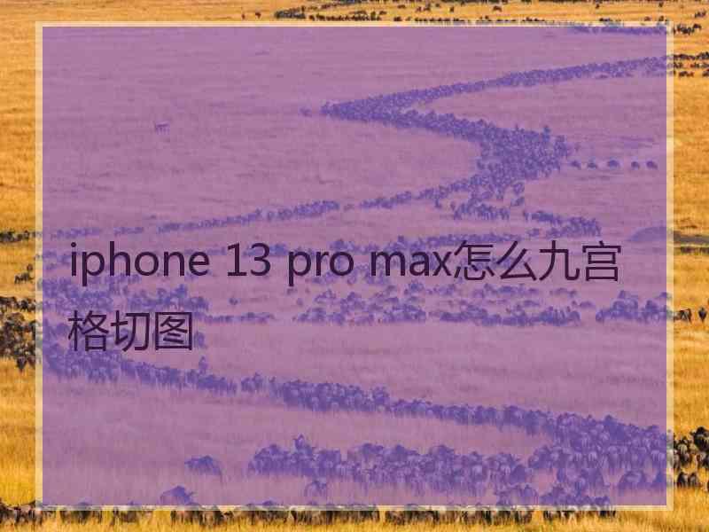 iphone 13 pro max怎么九宫格切图