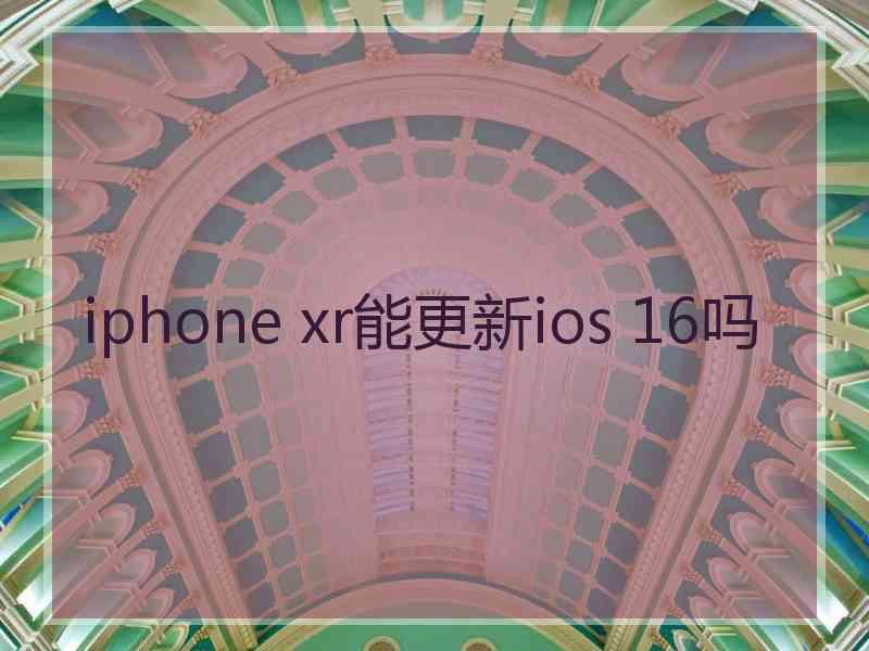 iphone xr能更新ios 16吗