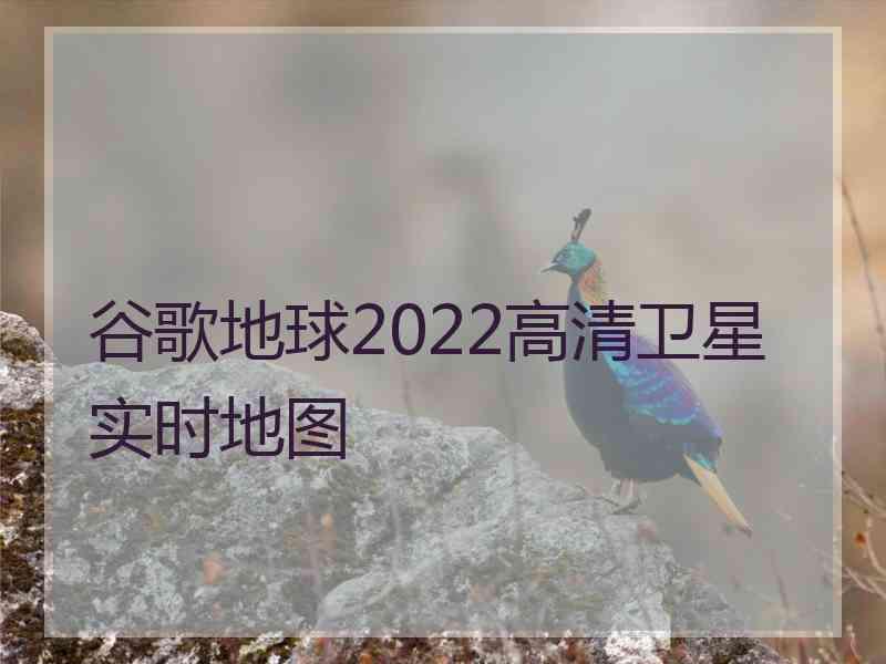 谷歌地球2022高清卫星实时地图