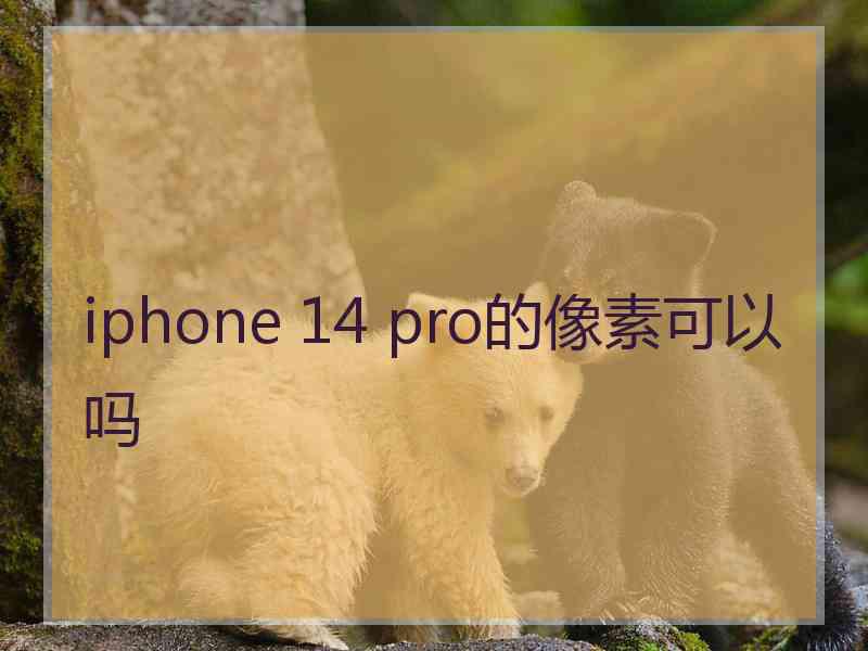 iphone 14 pro的像素可以吗