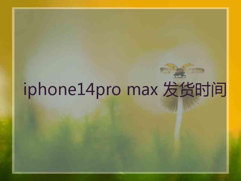 iphone14pro max 发货时间