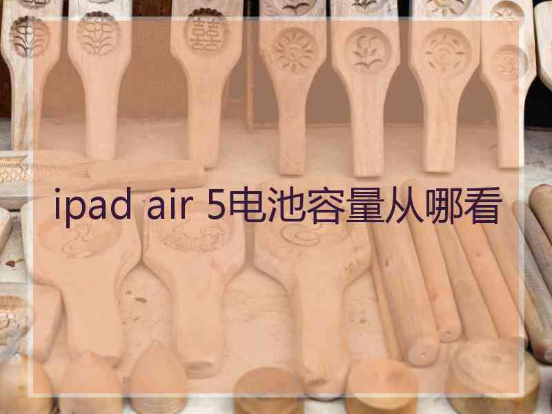 ipad air 5电池容量从哪看