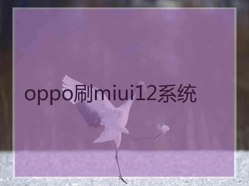 oppo刷miui12系统